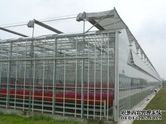 浅述常用温室大棚建设需要有什么条件
