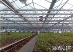 温室大棚建设中如何防治大棚土壤坍塌呢