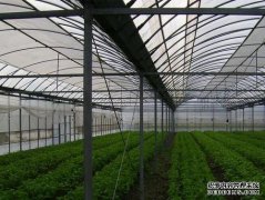 介绍一下温室大棚蔬菜瓜果种植技术