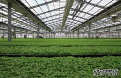 198彩你知道常用的温室大棚升温的方法是怎样的