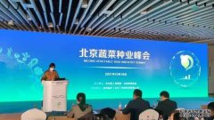蔬菜产业发展论坛暨科企对接恳谈会顺利举行