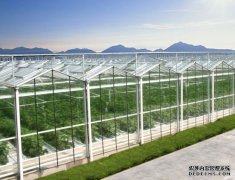 198彩智能温室大棚控制系统的优势